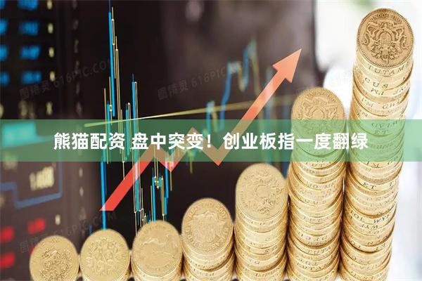 熊猫配资 盘中突变！创业板指一度翻绿