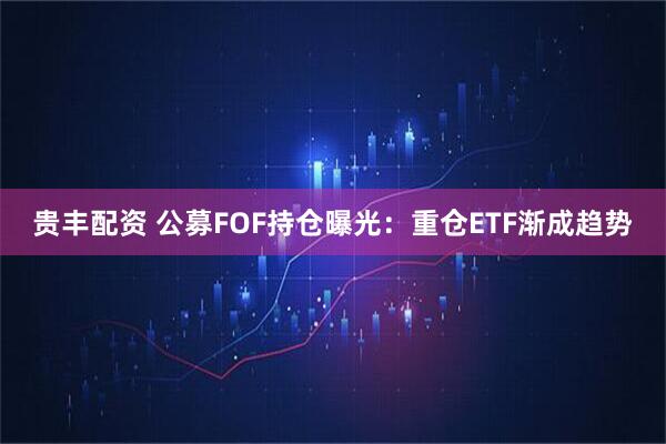 贵丰配资 公募FOF持仓曝光:重仓ETF渐成趋势