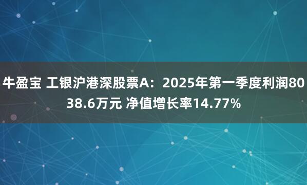 牛盈宝 工银沪港深股票A:2025年第一季度利润8038.6万元 净值增长率14.77%