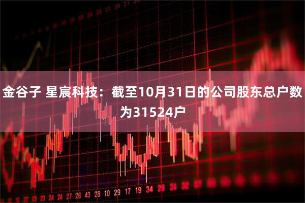 金谷子 星宸科技：截至10月31日的公司股东总户数为31524户
