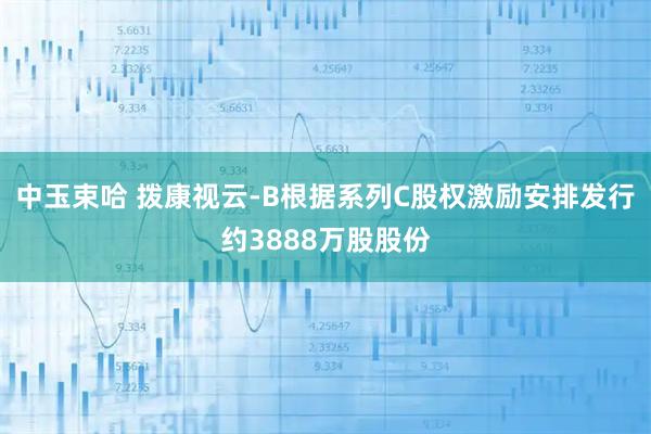 中玉束哈 拨康视云-B根据系列C股权激励安排发行约3888万股股份